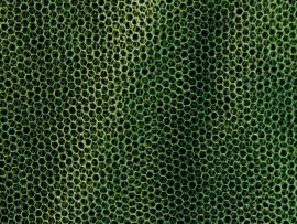 Mosquito net MFH large green 0,63x2,5x12,5 m