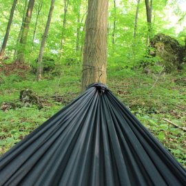 Hammock Bear black tigerwood