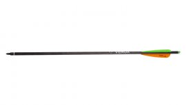 Carbon Savage 20" Crossbow Bolt
