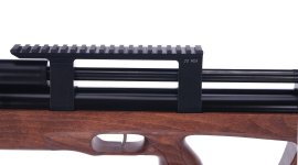 Taipan Veteran Standart 5,5mm Beech