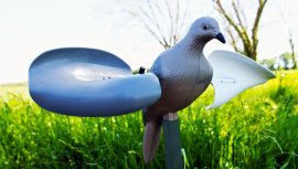 Balaban MOJO Wind Dove - Wind Dove