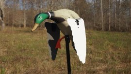 Balaban MOJO Super Mallard - Wild Duck