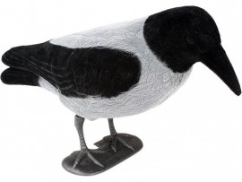 Balaban crow ashy whole body to universal carousel