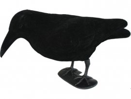 Balaban crow full body to universal carousel