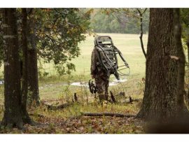 Climbing seat Summit Titan SD