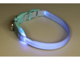 Light-up collar Dogtrace 28–38cm