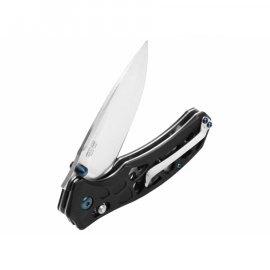 Folding knife Ganzo Firebird FB763-BK black