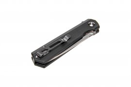Closing knife Ganzo Firebird FH11-BK black