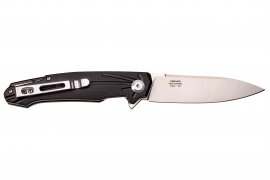 Closing knife Ganzo Firebird FH21-BK
