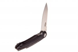 Closing knife Ganzo Firebird FH21-BK