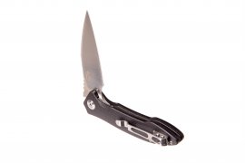 Folding knife Ganzo Firebird FH51-BK