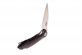 Folding knife Ganzo Firebird FH51-BK