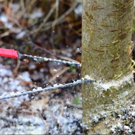 Nordic Pocket Saw X-Long chainsaw for 2 persons green
