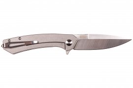 Closing knife Ganzo Skimen black