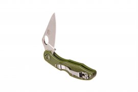 Folding knife Ganzo Firebird F759M green