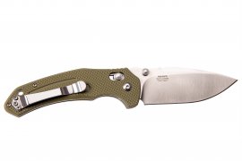 Closing knife Ganzo Firebird F7611 green