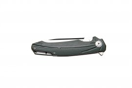 Closing knife Ganzo Firebird FH21 green