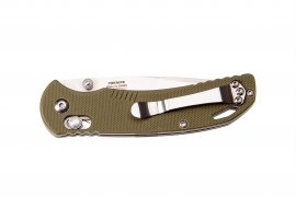 Closing knife Ganzo Firebird F753M1 green