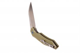 Closing knife Ganzo Firebird FH31-GB