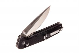 Closing knife Ganzo Firebird FB7601 black