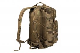 US ASSAULT wl02.jpg