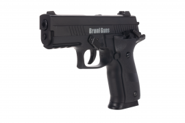 BR116MP (2).png