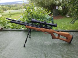 Review: DISCOUNT - Kral Arms Puncher NISH W 5,5mm - 2