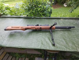 Review: DISCOUNT - Kral Arms Puncher NISH W 5,5mm - 3