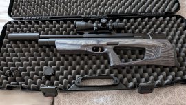 Review: Air Rifle Taipan Veteran II 550mm 6.35mm Laminate Grey - 1