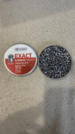 Review: Diabolo JSB Exact Express 4.52mm 500pcs - 1