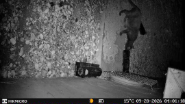 Review: Trail Camera HIKMICRO T16 - 2
