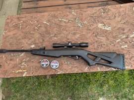 Review: Air Rifle Gamo Whisper IGT 4.5mm - 1