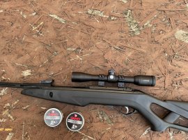 Review: Diabolo Gamo Pro Magnum Penetration 4.5mm 500pcs - 1