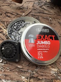 Review: Diabolo JSB Exact Jumbo 5.52mm 250pcs - 1