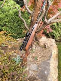 Review: Air Rifle Cometa Fenix 400 Star 6.35mm - 27J - 1
