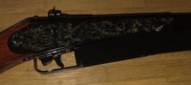 Review: Air Rifle Daisy Model 25 Pump Gun 4.5mm - 2