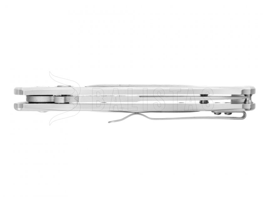 Ganzo G707 closing knife