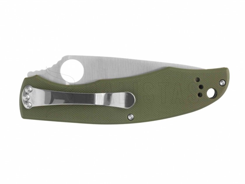 Ganzo G732-GR closing knife