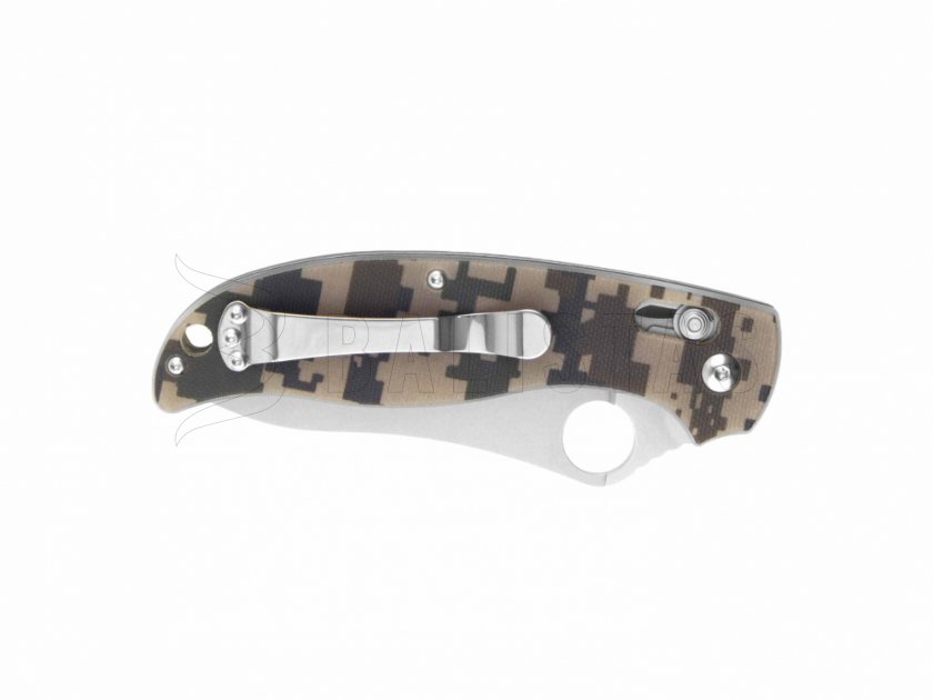 Folding Knife Ganzo G733-CA