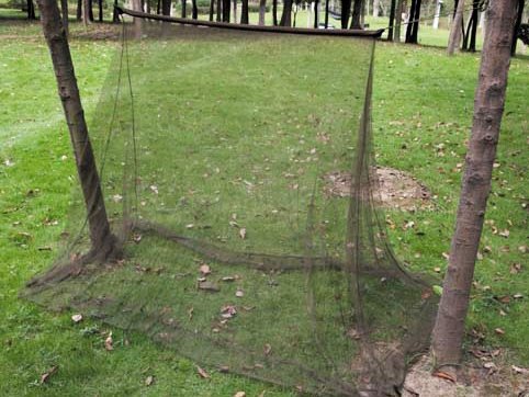 Camping mosquito net MFH green 2x1 5x1 m