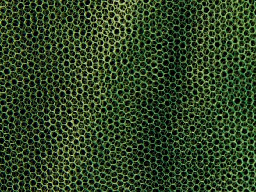 Mosquito net MFH large green 0,63x2,5x12,5 m