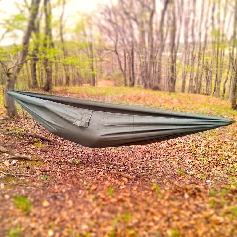 Hammock Bear green tigerwood
