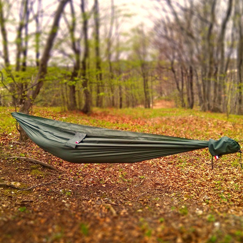 Dragonfly hammock green tigerwood