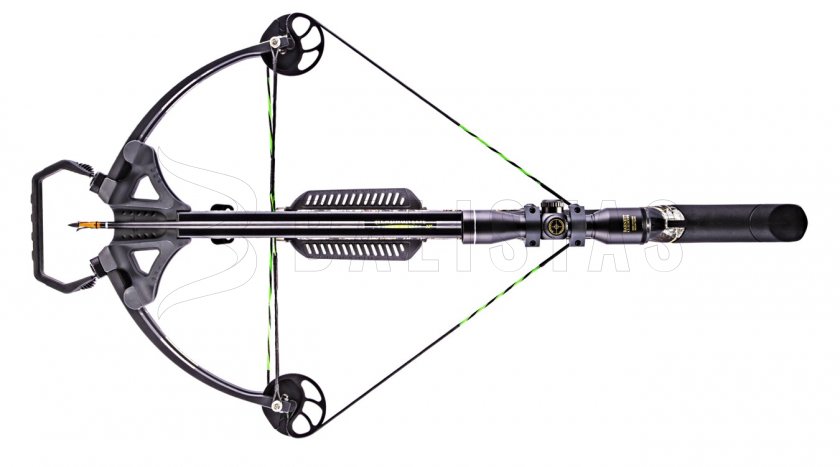 Barnett Quad Edge Set