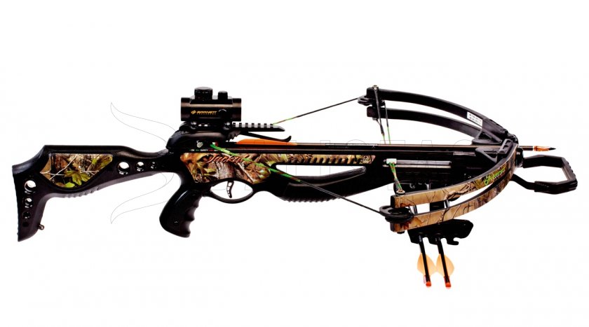 Barnett Jackal