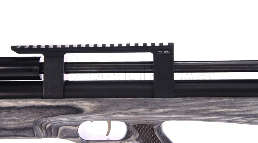 Taipan Veteran Standart 5,5mm Laminate