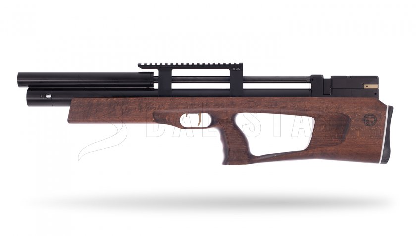 Taipan Veteran Standart 5,5mm Beech