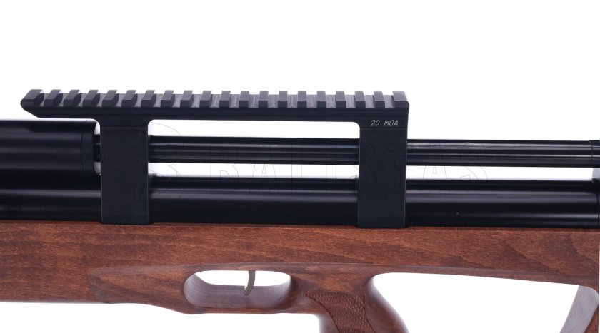 Taipan Veteran Compact 5,5mm Beech