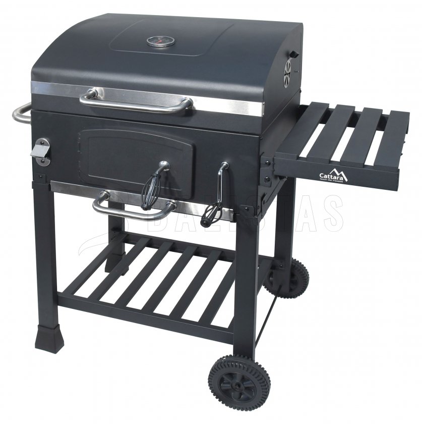 Royal charcoal grill with cast iron grate