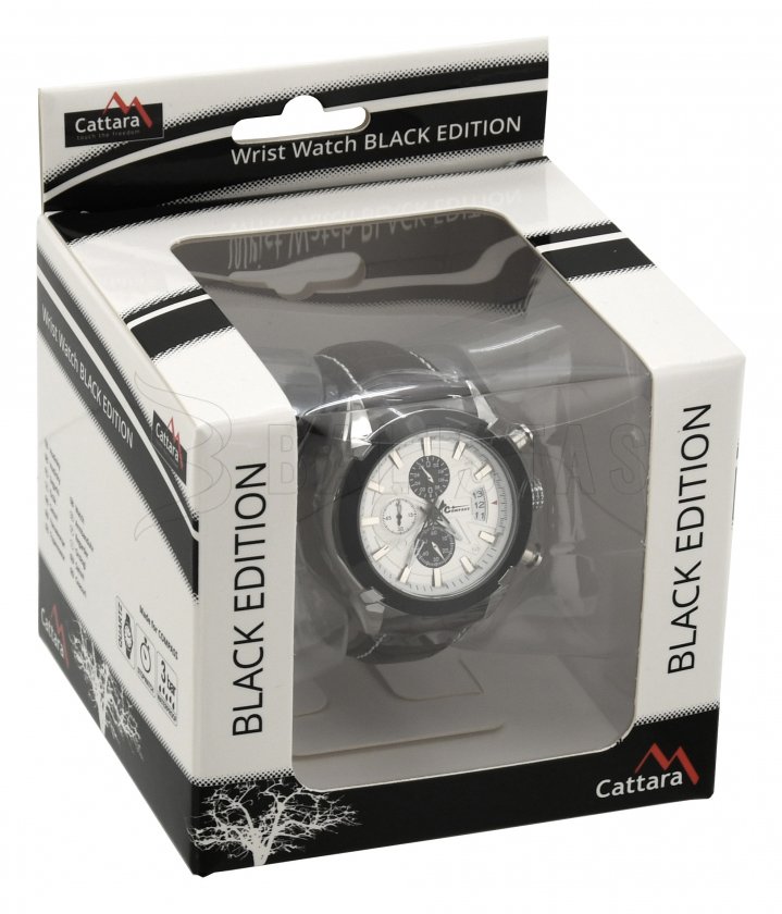 Chrono White Compass watch